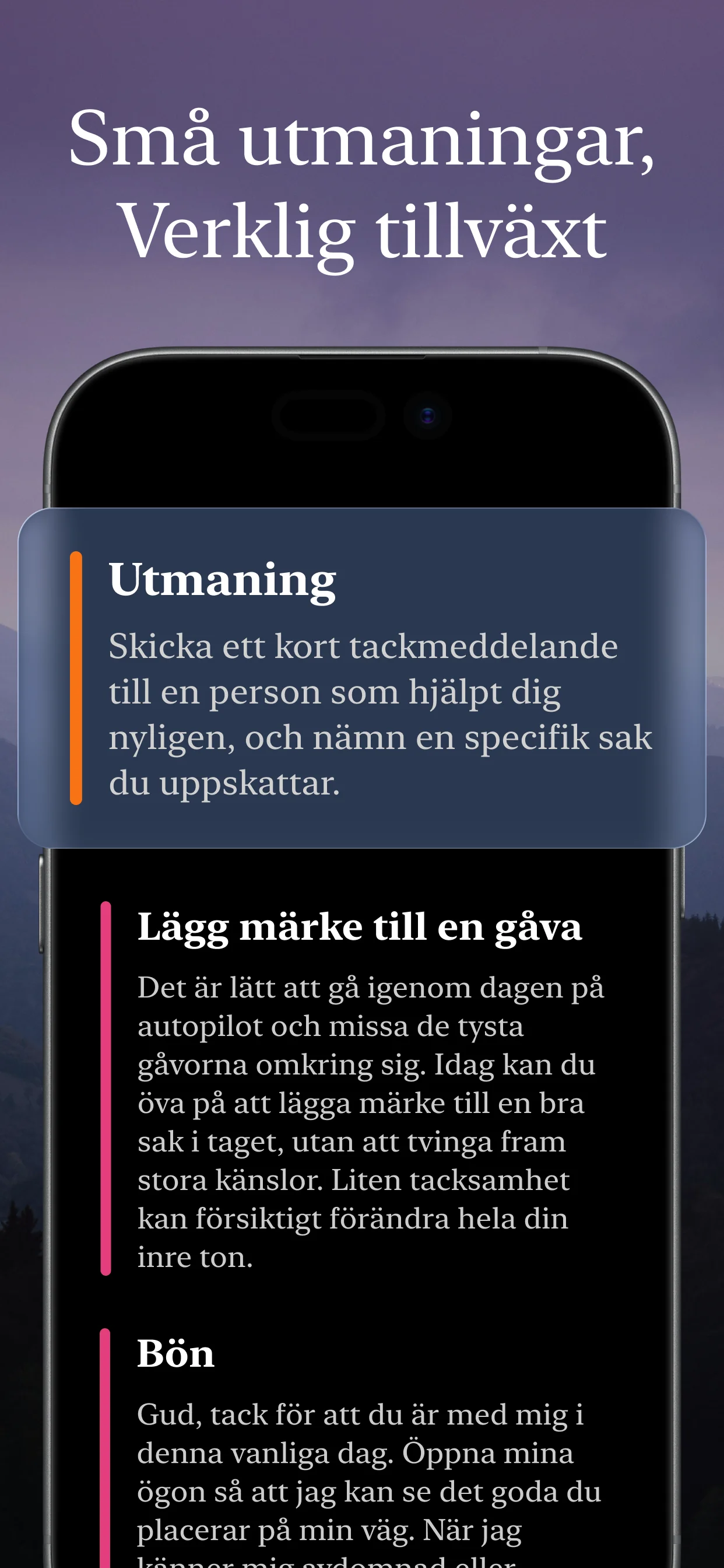 Förhandsvisning 6